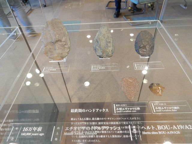 DSCN7223