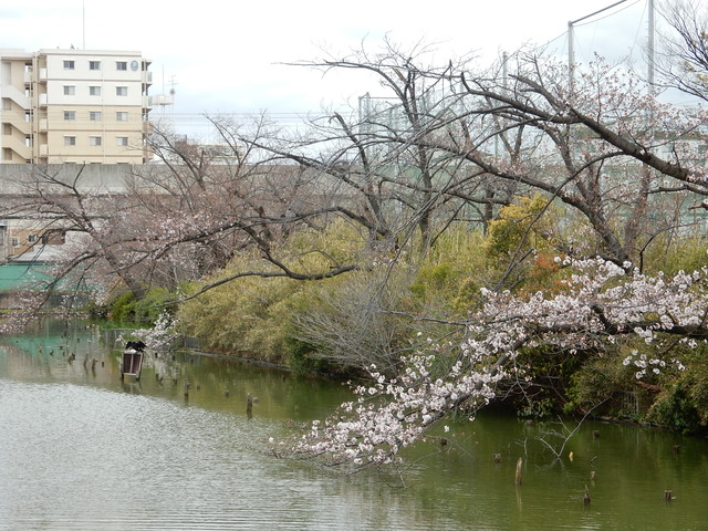 DSCN5822
