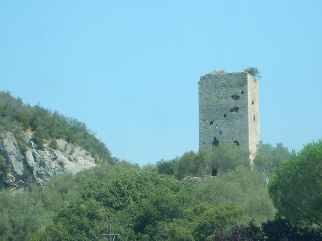 DSCN4131