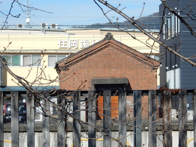 DSCN8328