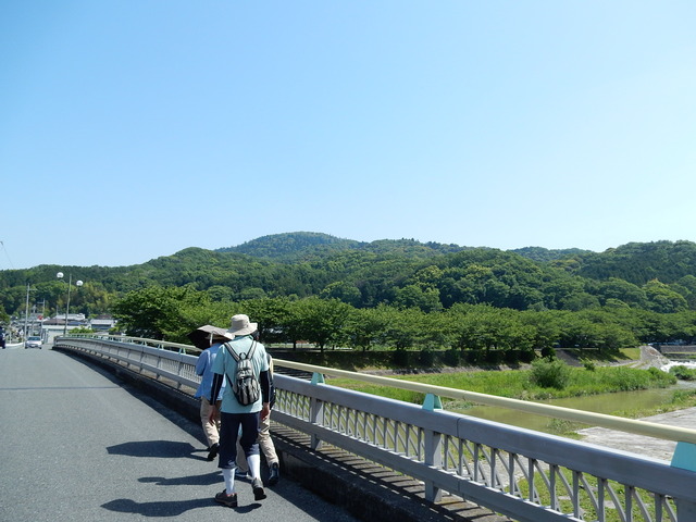 DSCN8297