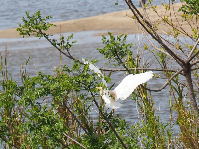 P4211045