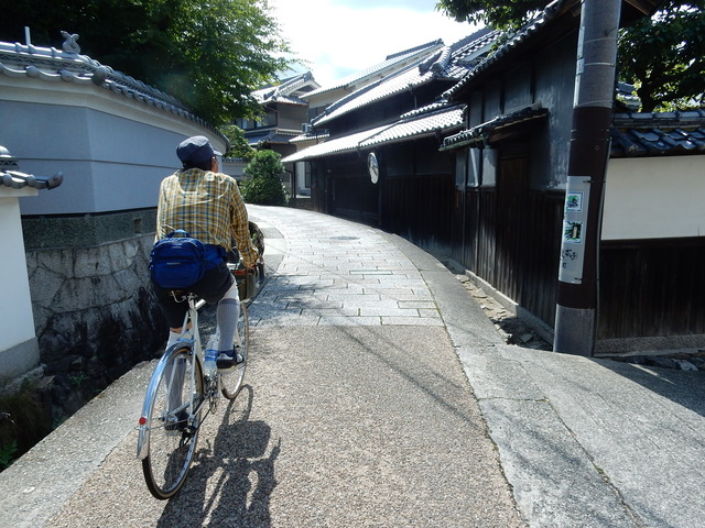 DSCN7104