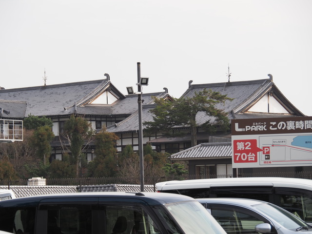 P3138587