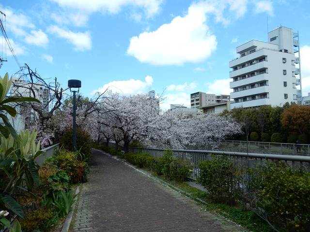 DSCN1808
