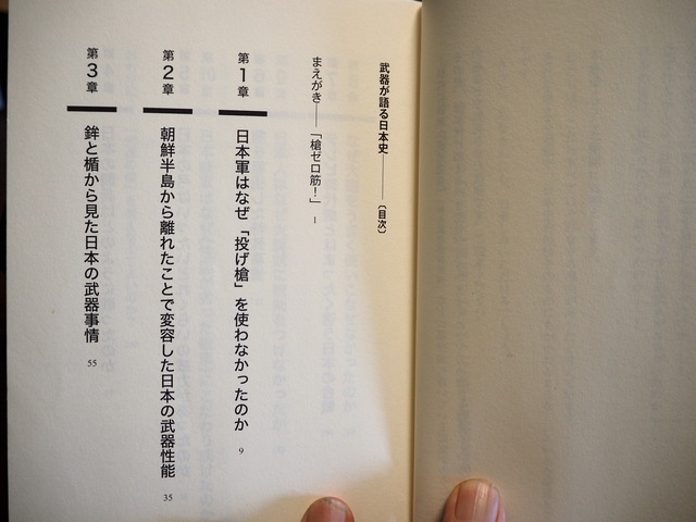 P6101219
