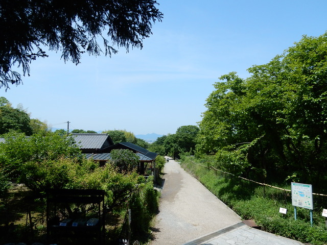 DSCN8361