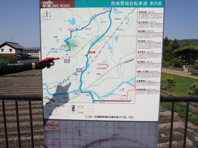 P4223823