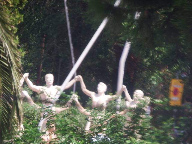 DSCF6811