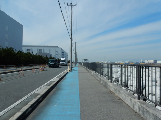 DSCN5600