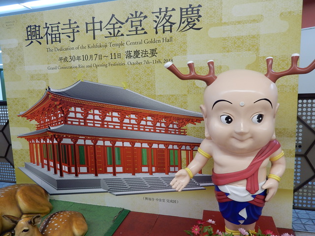 DSCN6030
