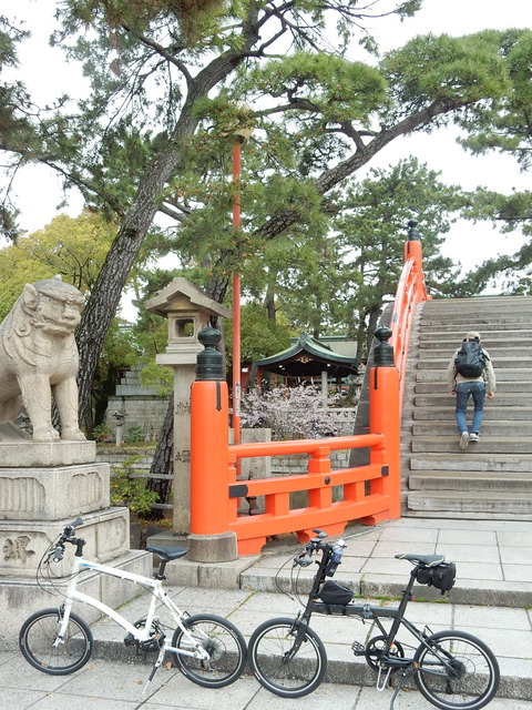 DSCN5788