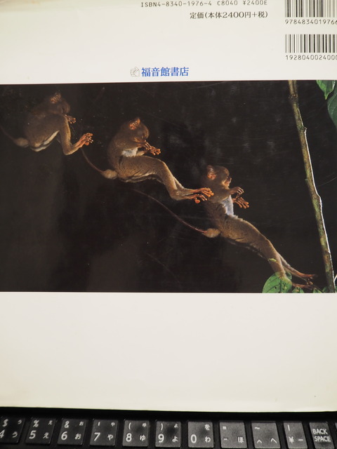 P6050937