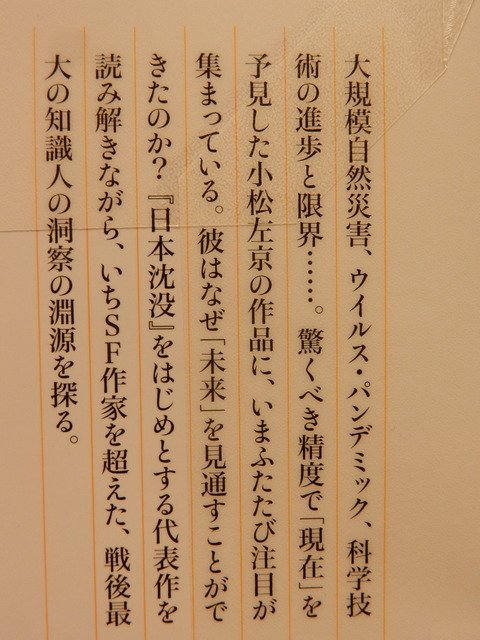 DSCN6994
