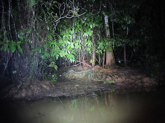 DSCN0807