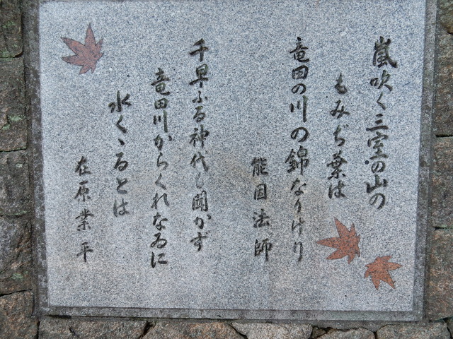 DSCN9769