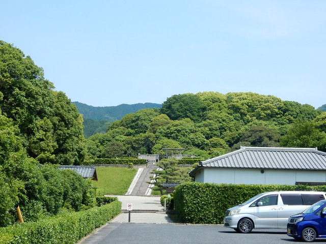 DSCN8401