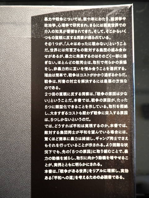 P8167140
