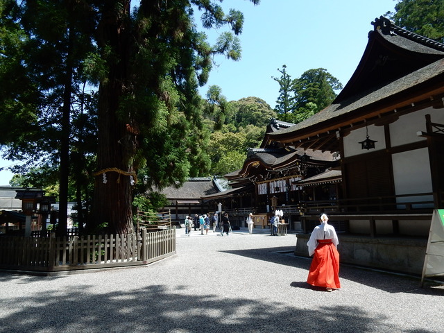 DSCN8326