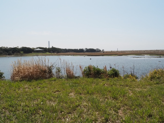 P3293870