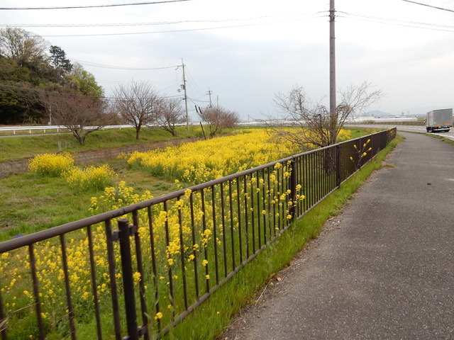 DSCN0855