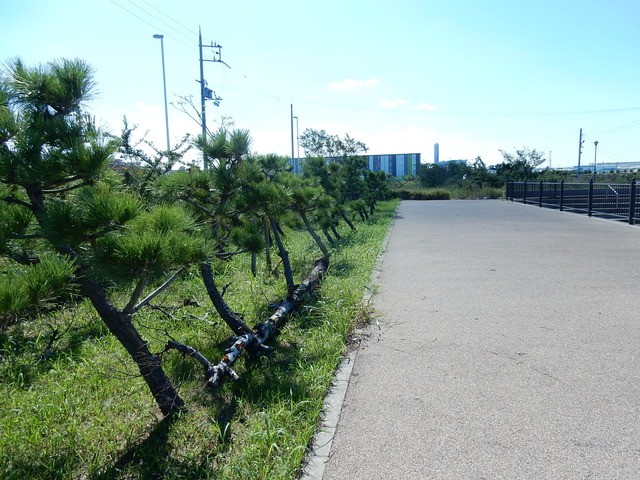 DSCN0089