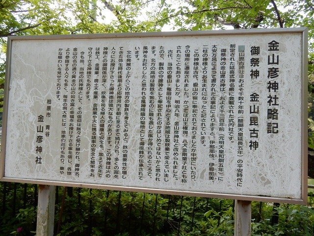 DSCN2378