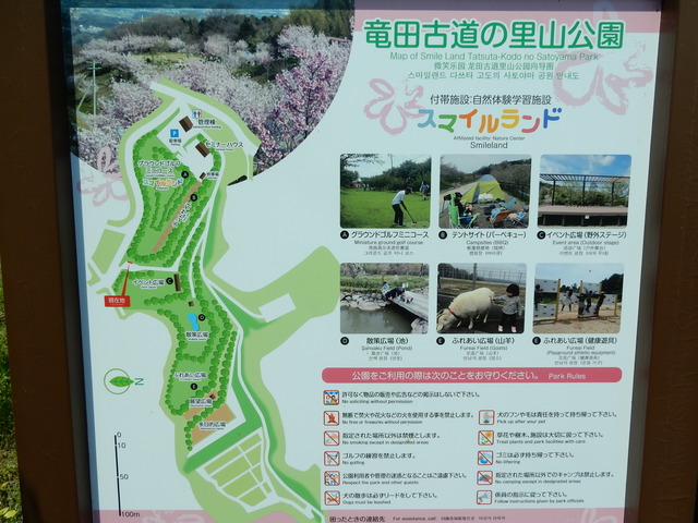DSCN2338