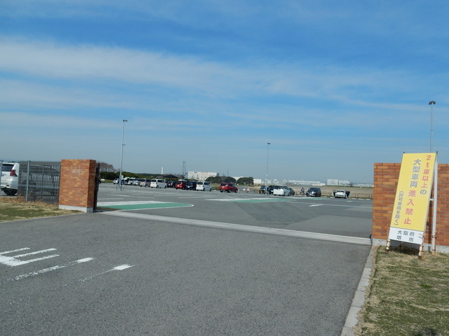 DSCN5601