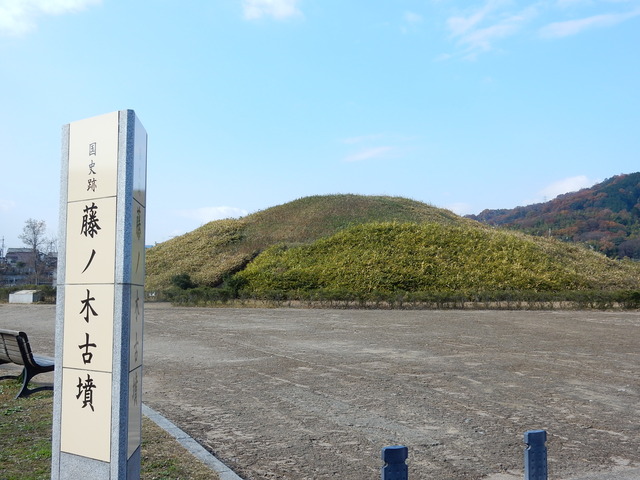 DSCN9802