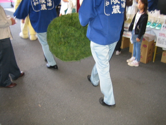 affd3a74.jpg