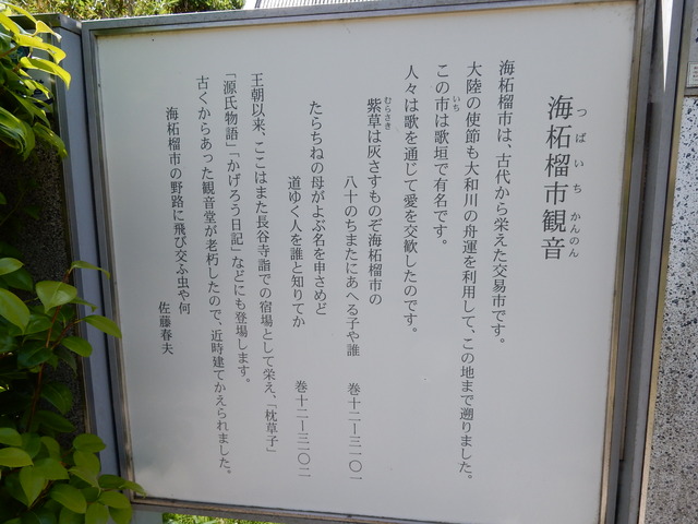 DSCN8307