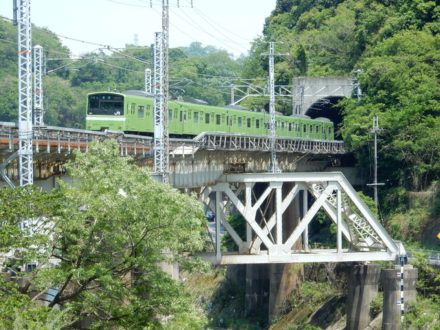 DSCN2397