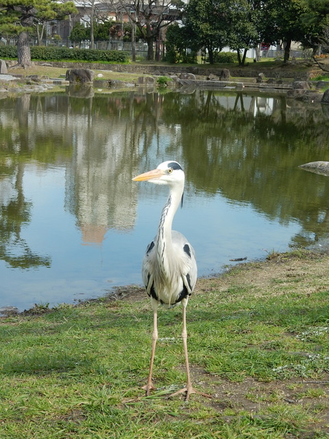 DSCN5622