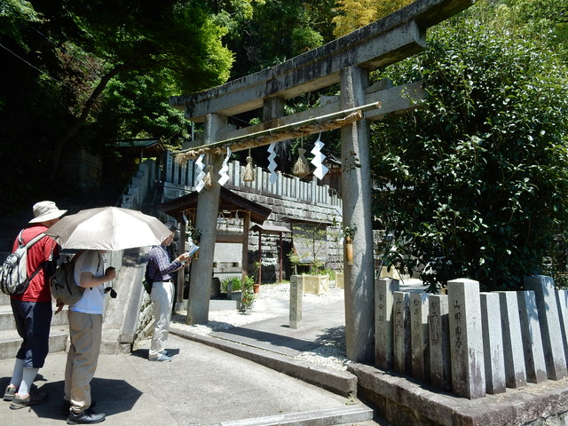 DSCN2354