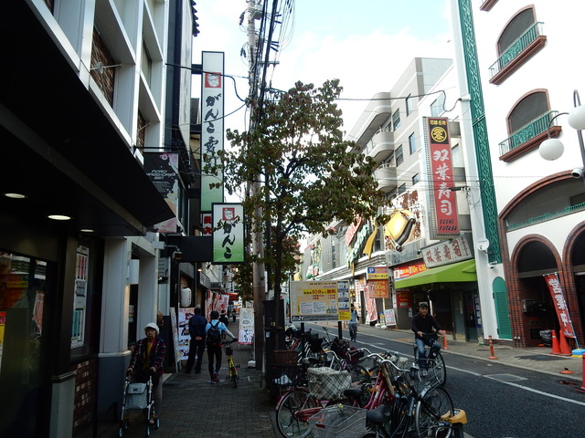 DSCN5963