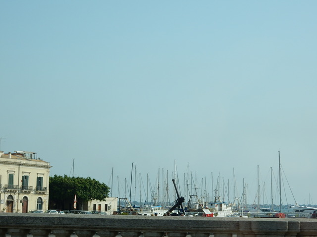 DSCN1852
