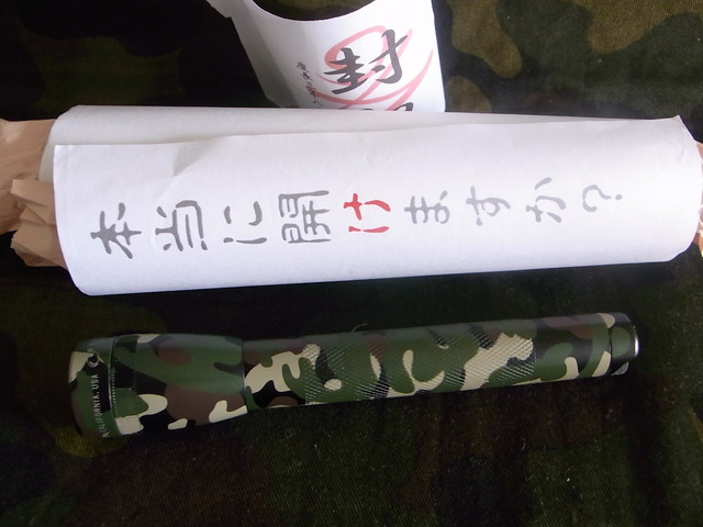 RIMG15569