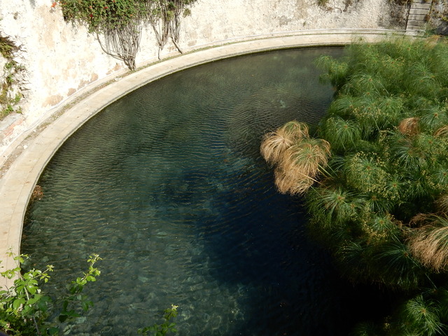 DSCN1826