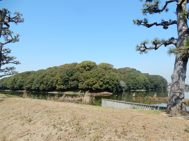 DSCN7655
