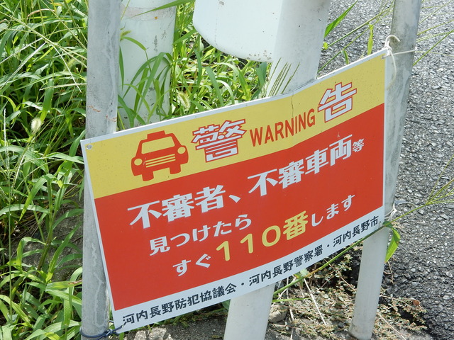 DSCN8818