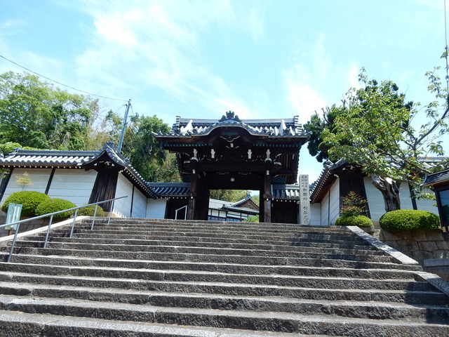 DSCN2349