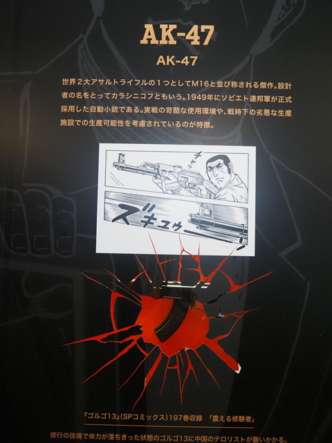 P9077239