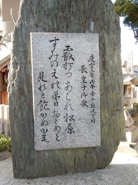 DSCN9902