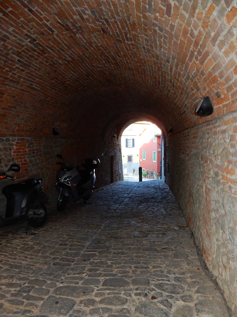 DSCN2547