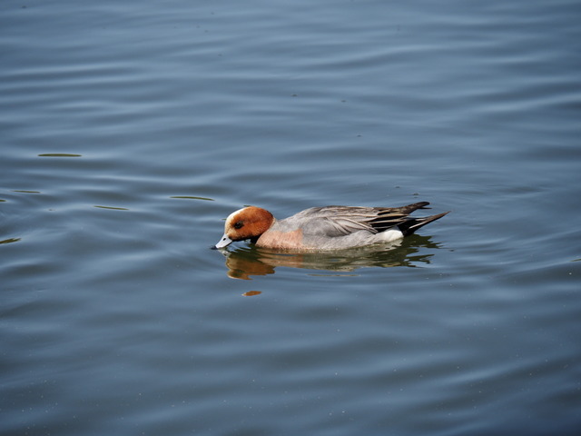 P4070170