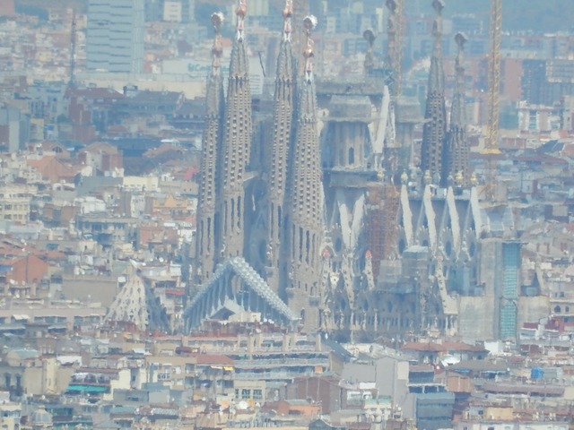 DSCN4764