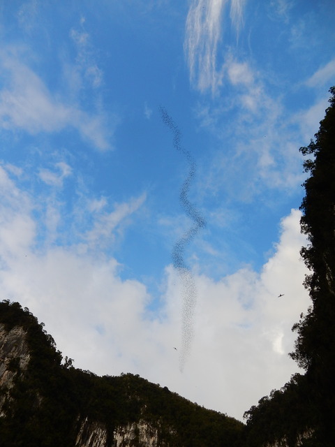DSCN0488