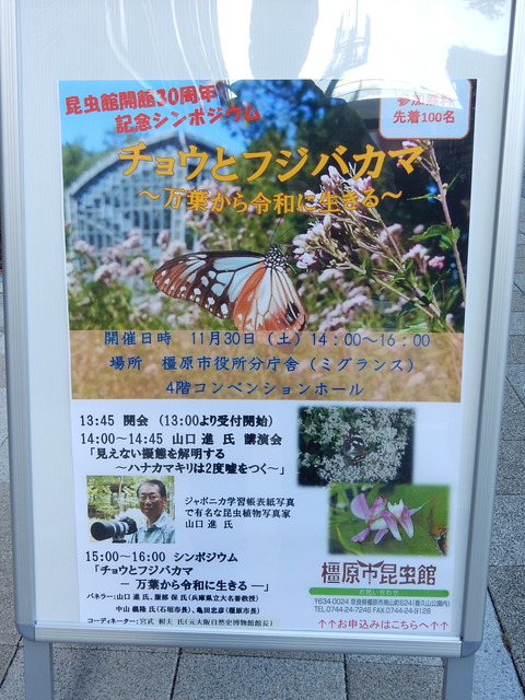 DSCN4920