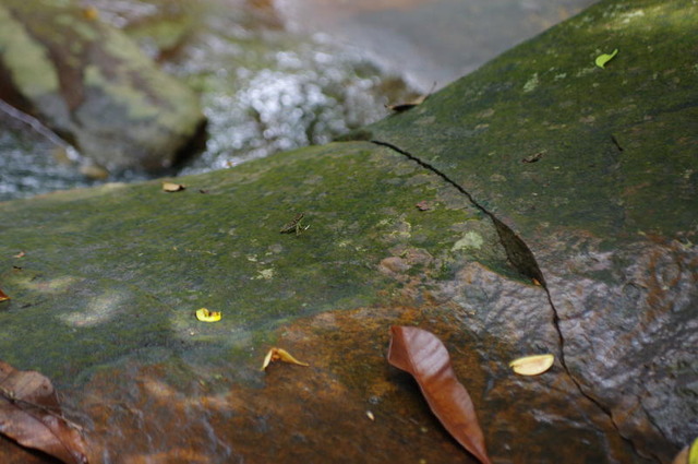 IMGP3435